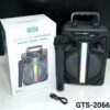 GreatNice Wireless Speaker (GTS-2066) - Image 2